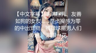 【中文字幕】丰满巨乳、友善如狗的女友……是贞操感为零的中出宠物，被排球圈男人们传遍。 瀬田一花