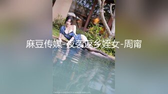 麻豆传媒-夜袭返乡姪女-周甯