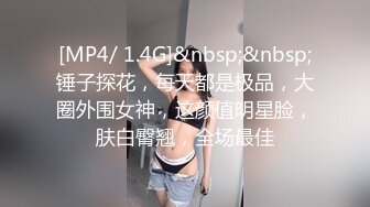 [MP4/ 1.4G]&nbsp;&nbsp;锤子探花，每天都是极品，大圈外围女神，这颜值明星脸，肤白臀翘，全场最佳