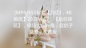 [MP4/455MB]【2023，4K画质】2020.4.17，【赵总探花】，极品大胸外围，这奶子超赞，收藏版