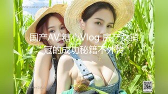 国产AV 糖心Vlog 房产女销冠的成功秘籍不外传