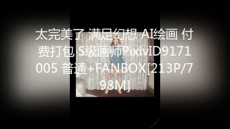 太完美了 满足幻想 AI绘画 付费打包 S级画师PixivID9171005 普通+FANBOX[213P/798M]