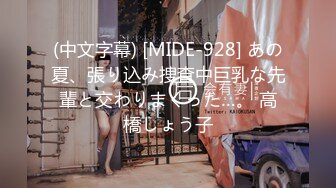 (中文字幕) [MIDE-928] あの夏、張り込み捜査中巨乳な先輩と交わりまくった…。 高橋しょう子