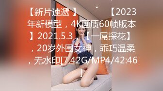 【新片速遞 】 ♈ ♈ ♈【2023年新模型，4K画质60帧版本】2021.5.3，【一屌探花】，20岁外围女神，乖巧温柔，无水印[7.42G/MP4/42:46]