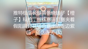 推特极品长腿苗条烧婊子【橙子】私拍，丝袜塞逼肛塞夹着假阳具公共场合露出边走边紫薇，骚话连天 (5)