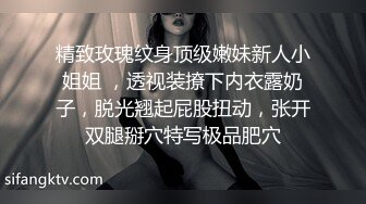 精致玫瑰纹身顶级嫩妹新人小姐姐 ，透视装撩下内衣露奶子，脱光翘起屁股扭动，张开双腿掰穴特写极品肥穴