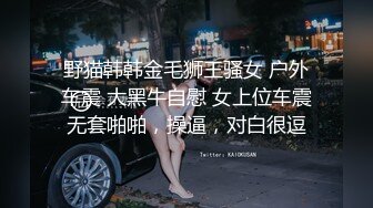 野猫韩韩金毛狮王骚女 户外车震 大黑牛自慰 女上位车震无套啪啪，操逼，对白很逗