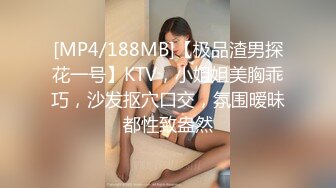 [MP4/188MB]【极品渣男探花一号】KTV，小姐姐美胸乖巧，沙发抠穴口交，氛围暧昧都性致盎然