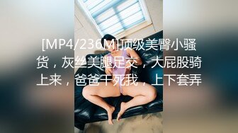 [MP4/236M]顶级美臀小骚货，灰丝美腿足交，大屁股骑上来，爸爸干死我，上下套弄