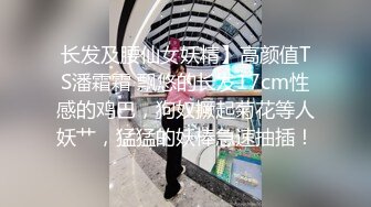 长发及腰仙女妖精】高颜值TS潘霜霜 飘悠的长发17cm性感的鸡巴，狗奴撅起菊花等人妖艹，猛猛的妖棒急速抽插！