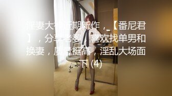 淫妻大神近期新作，【番尼君】，分享老婆，喜欢找单男和换妻，质量挺高，淫乱大场面，下 (4)