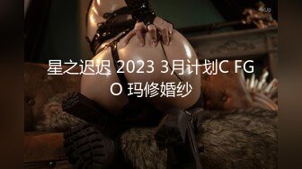 星之迟迟 2023 3月计划C FGO 玛修婚纱