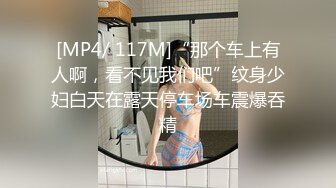 [MP4/ 117M]“那个车上有人啊，看不见我们吧”纹身少妇白天在露天停车场车震爆吞精