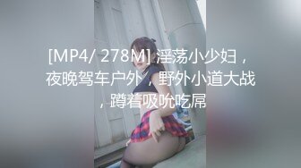 [MP4/ 278M] 淫荡小少妇，夜晚驾车户外，野外小道大战，蹲着吸吮吃屌