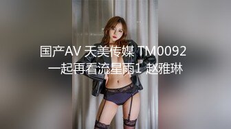 国产AV 天美传媒 TM0092 一起再看流星雨1 赵雅琳