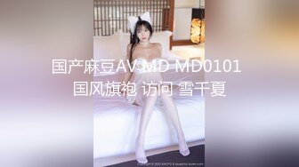 国产麻豆AV MD MD0101 国风旗袍 访问 雪千夏