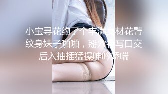 小宝寻花约了个丰满身材花臂纹身妹子啪啪，掰穴特写口交后入抽插猛操呻吟娇喘