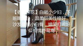 【老李探花】白嫩小少妇，下班赚外快，温柔甜美性格好，沙发暴插小白臀，嬉笑打闹好似偷情野鸳鸯