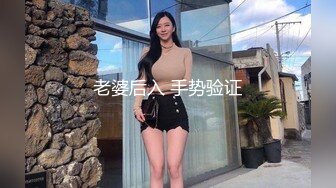 老婆后入 手势验证