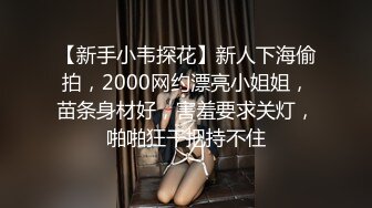 [MP4]3000网约外围女神&nbsp;&nbsp;甜美人气00后妹子返场&nbsp;&nbsp;调情啪啪 精品尤物臣服于大屌之下