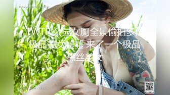 TWTP 公园女厕全景偷拍多位极品美女嘘嘘 来了一个极品黑丝美女