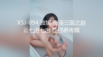 XSJ-094 波妮 奇淫三国之赵云七进七出 性视界传媒